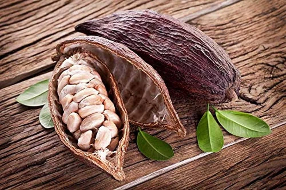 cocoa